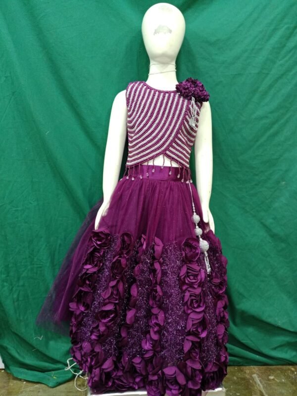 Designer Fully Flare Wine Colour Crop Top