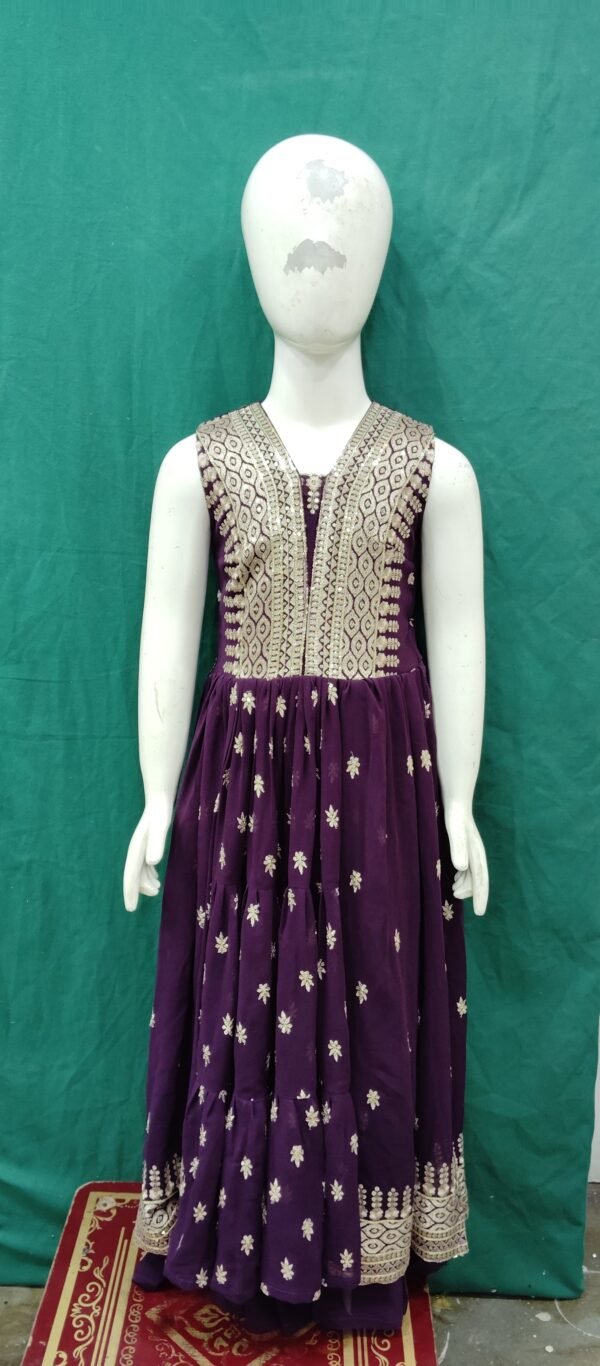 Girls Naira Cut Sequence Work Chiffon Fabirc