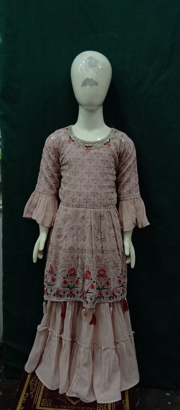 Girls Sharara Embroidery Work ChiffoN Fabric
