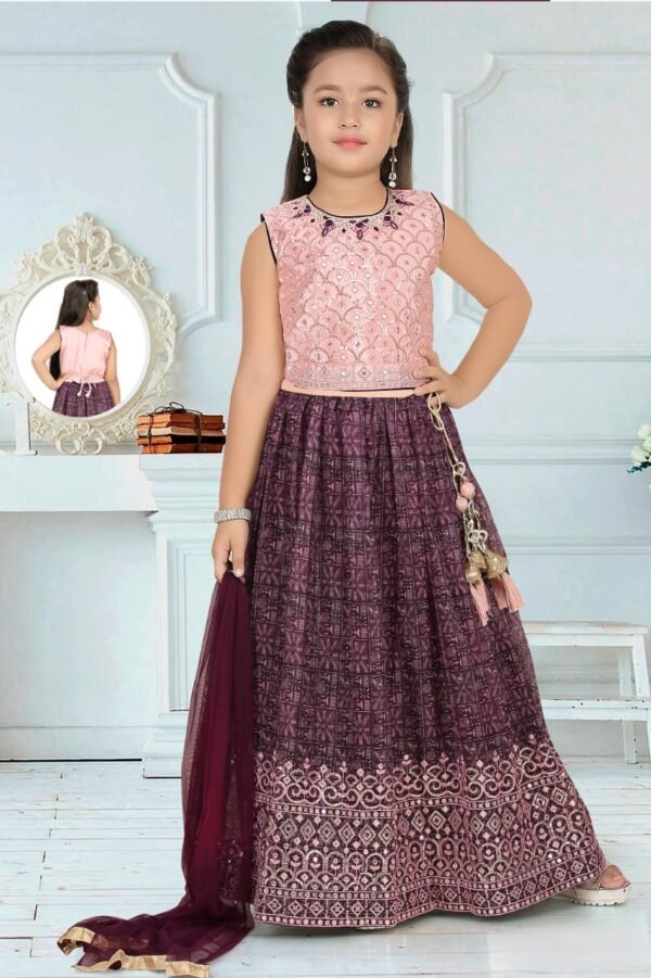Girls Lehenga Sequence Work Heavy Border Organza Fabric