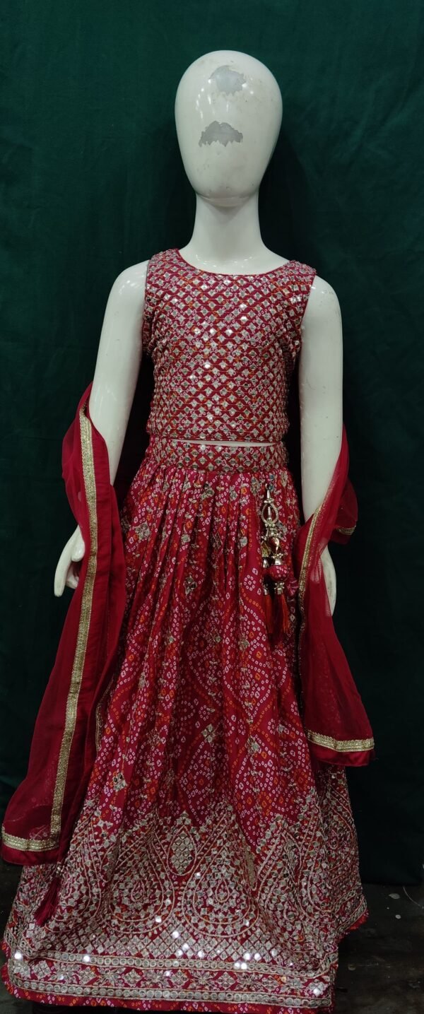 Girls Lehenga Sequence Work Heavy Border Butter Chinon FabRic