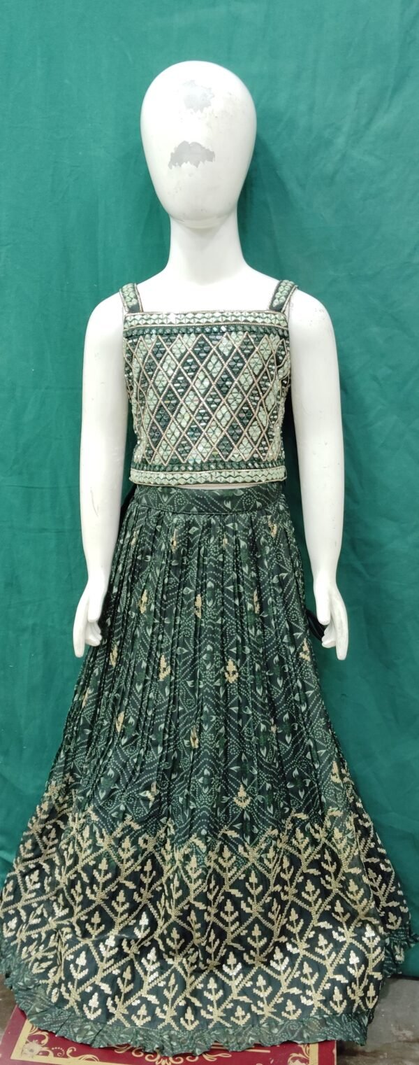 Girls Lehenga Sequence Work Choli REal Mirror Work Organza FabriC