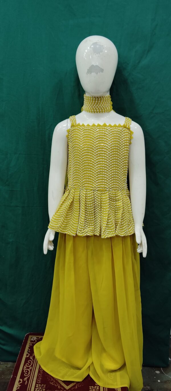 Girls Plazo Lucknow Work Chiffon Fabric