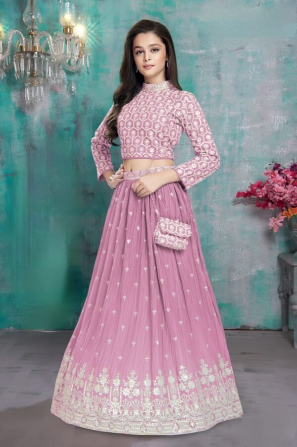 Pink Colour Choli