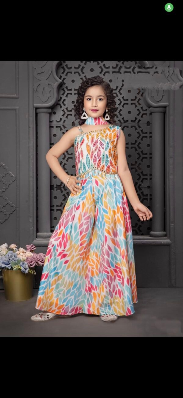 Girls Multi Colour Plazo