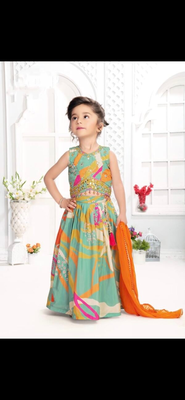 Baby Girl Multie Colour Choli