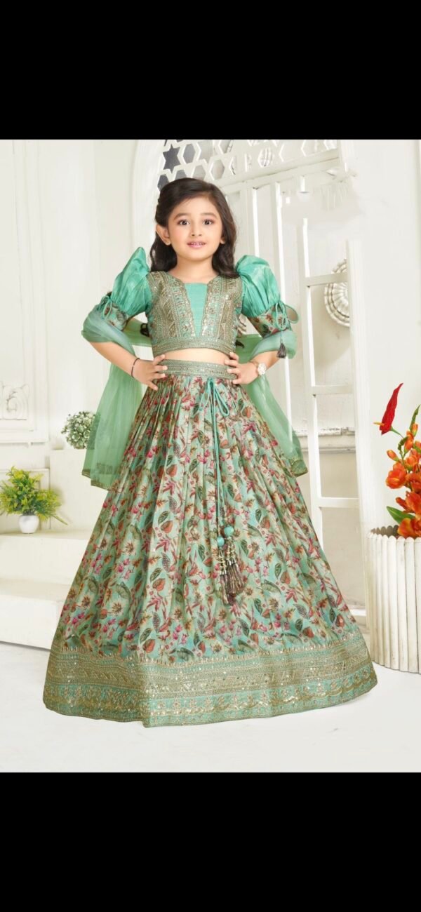 Girls Shrivalli Pista Colour Choli