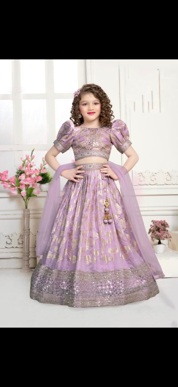 Girls Golden Work Nd Purple Colour Choli