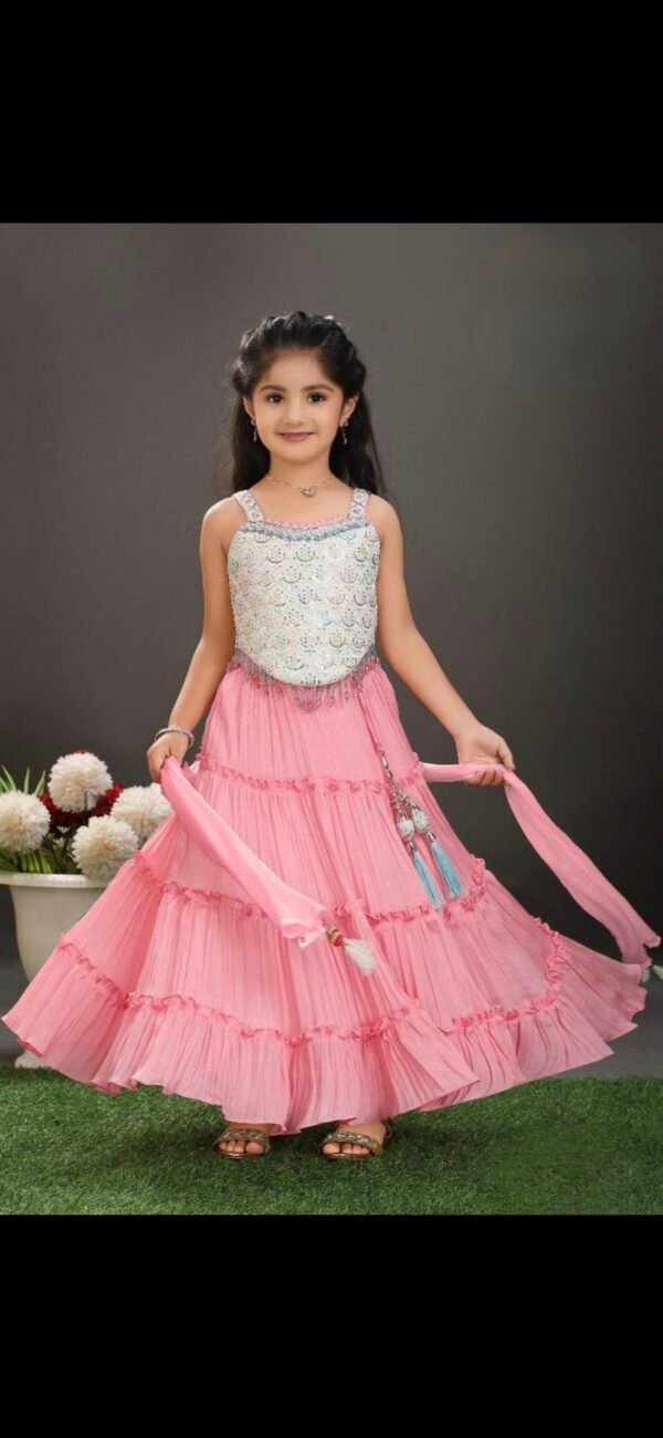 Shree Shakti Lite Pink Choli