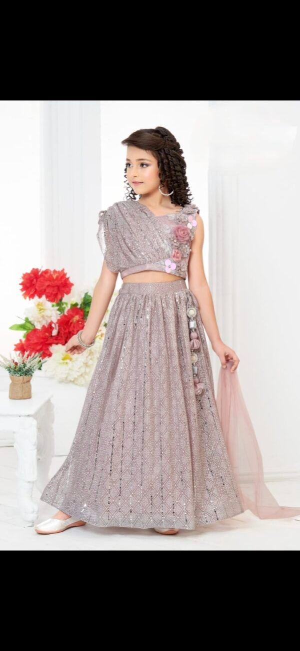 Girls Cadbury Colour Choli