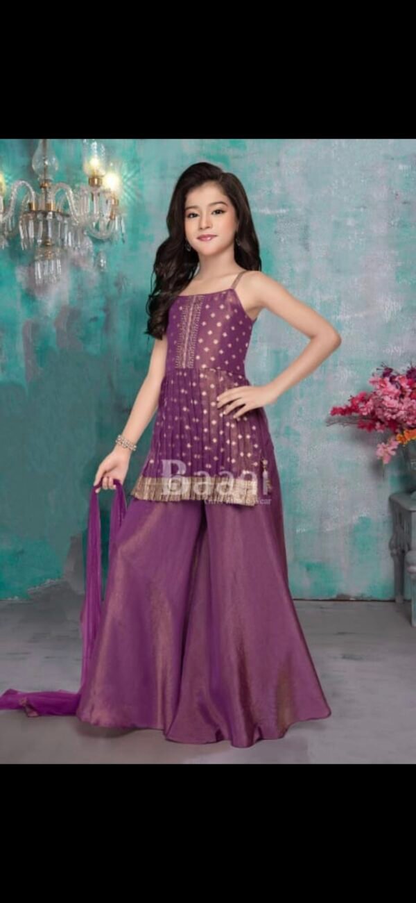 Girls Purple Colour Plazo