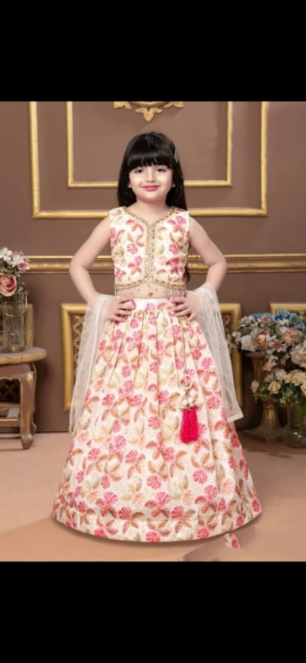 Girls Multi Pink Colour Choli