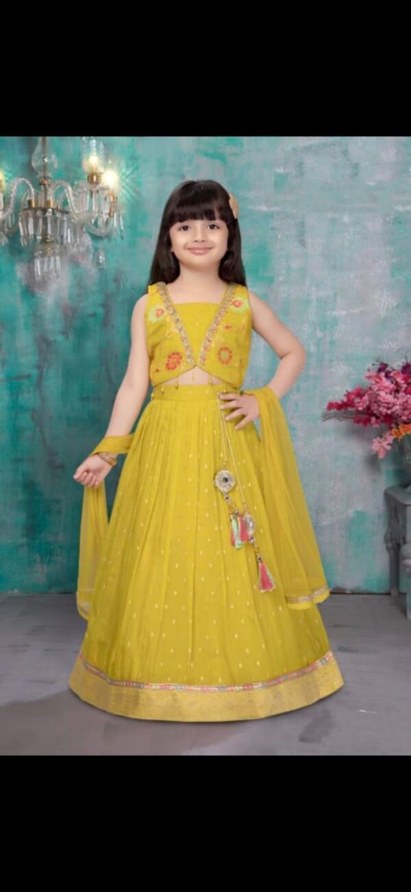 Girls Yellow Colour Choli