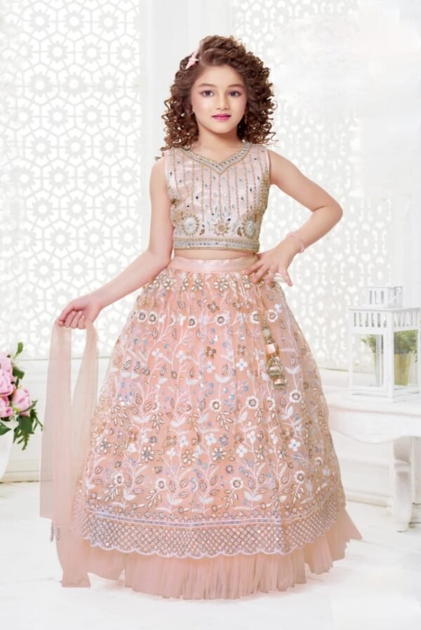 Girls Peach Colour Choli