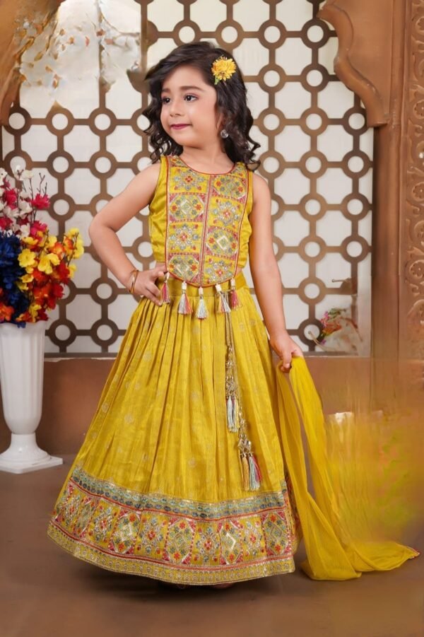 Girls Yellow Colour Choli