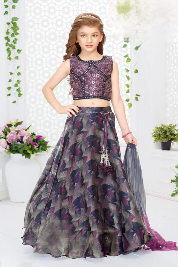 Girls Purple Colour Choli