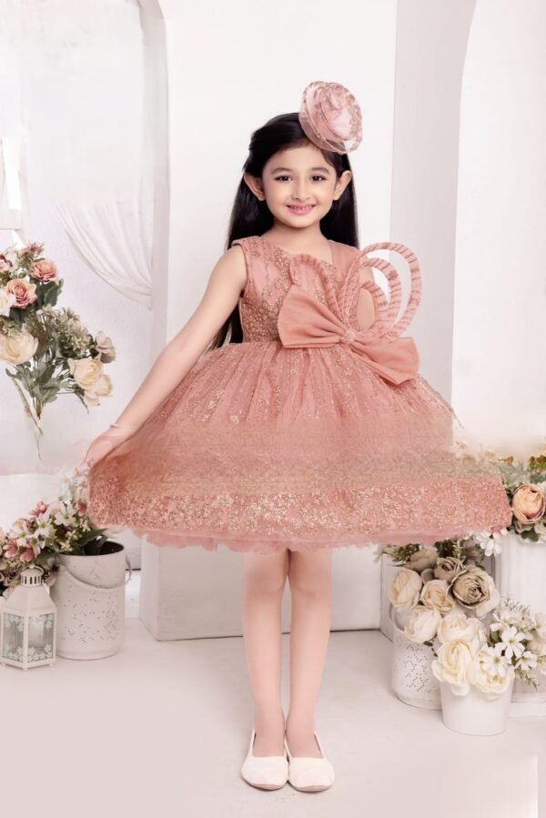 Girls Onion Colour Frock