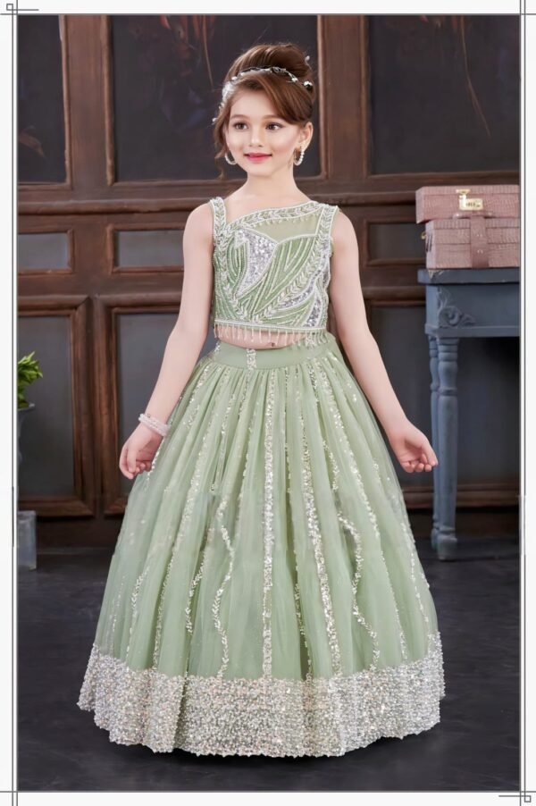 Girls Pista Colour Choli