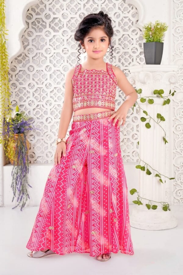Girls Pink Colour Plazo