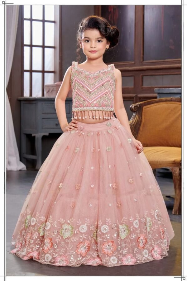 Girls Peach Colour Choli