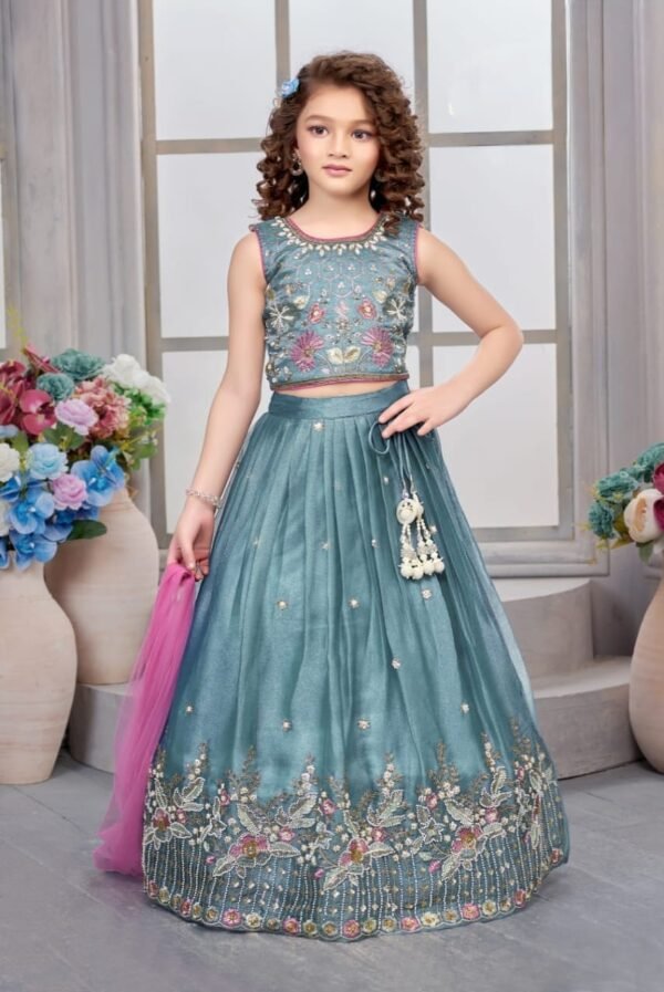 Girls Grey Colour Choli