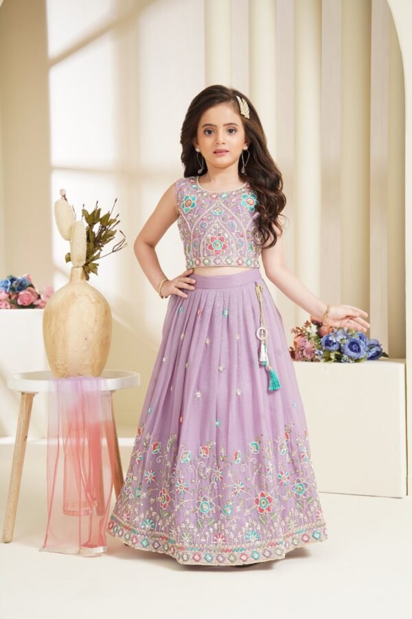 Girls Purple Colour Choli