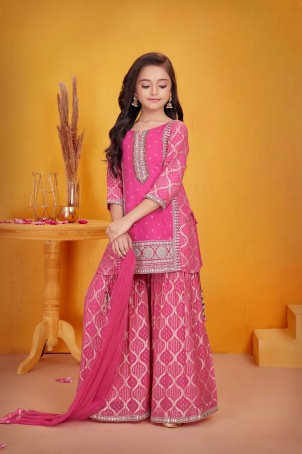 Girls Pink Colour Plazo
