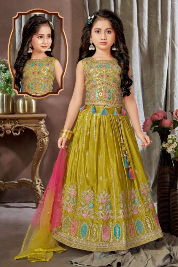 Girls Green Colour Choli