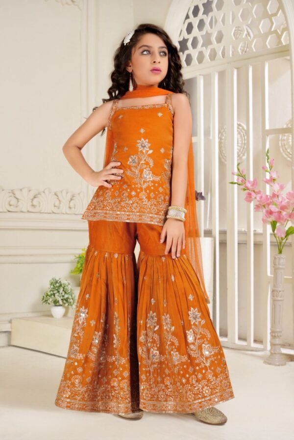 Girls Orenge Colour Plazo