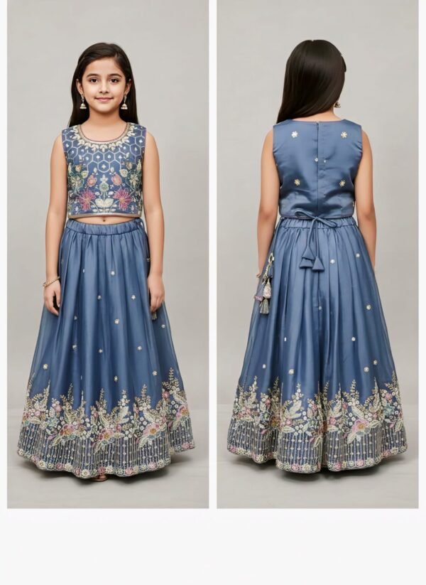 Girls Grey Colour Choli