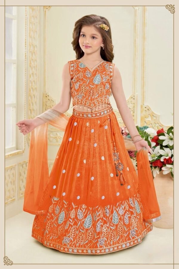 Girls Orange Colour Choli