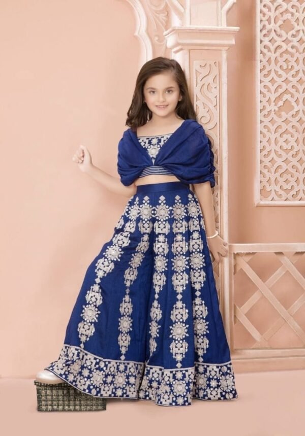 Girls Blue Colour Plazo