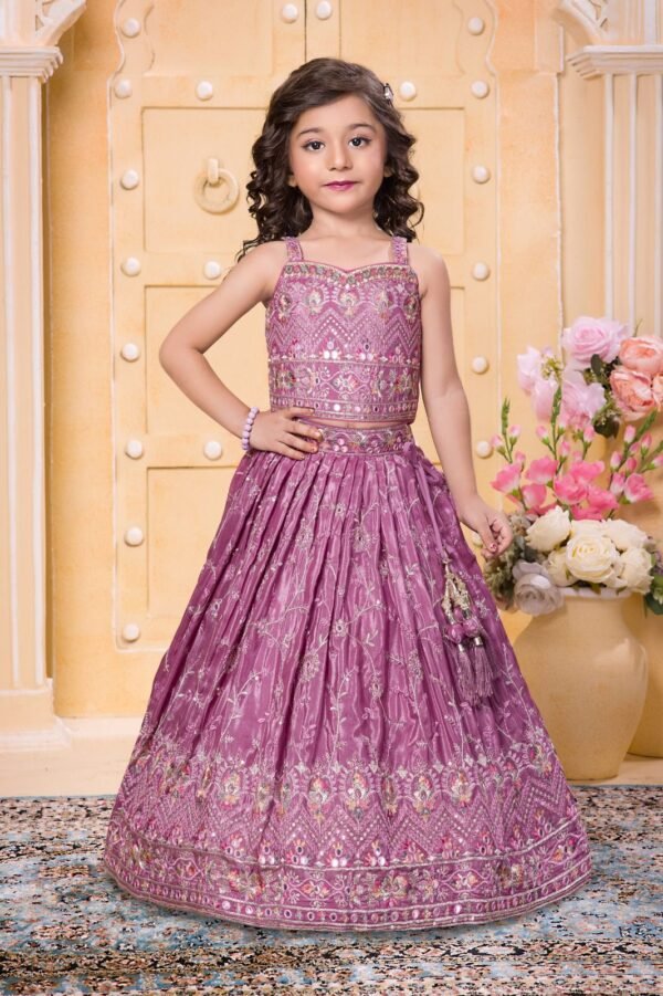 Girls Pink Colour Choli