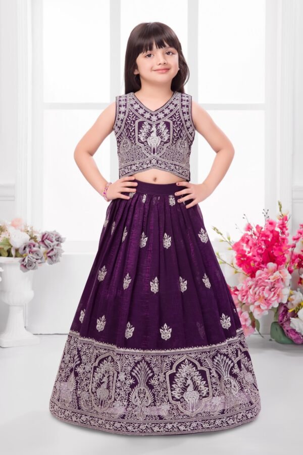 Girls Wine Colour Choli