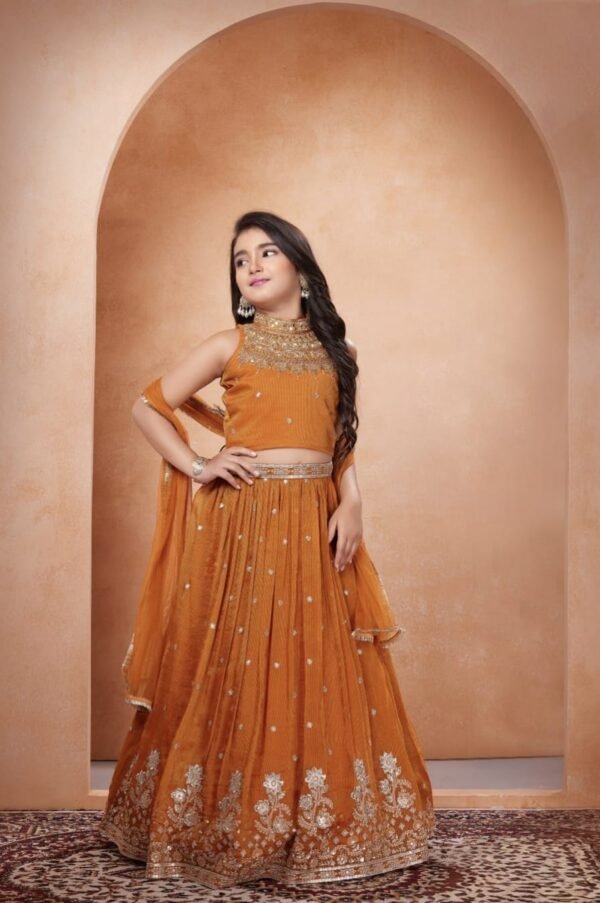 Girls Orange Colour Choli